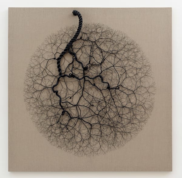 Janaina Mello Landini, Ciclotrama 95 (aglomeração), 2017