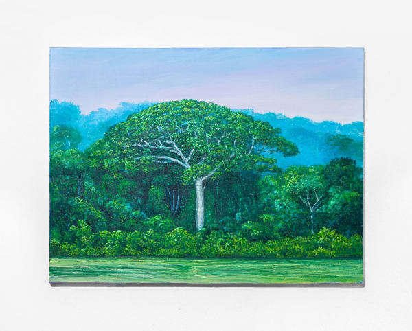 Miguel Penha Chiquitano, Rio teles pires, 2025