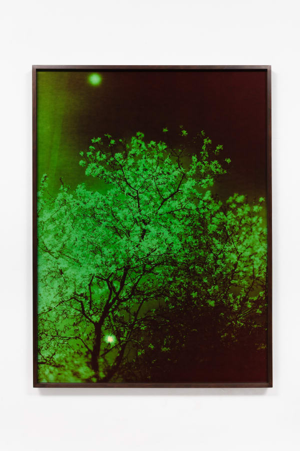 André Feliciano Vaga-lumes fotográficos 5, 2020 Fotograma em papel fotográfico colorido 100 x 75 cm Série: Prospect park