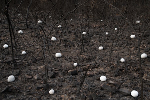 Rodrigo Braga, Ponto Zero #05, 2019