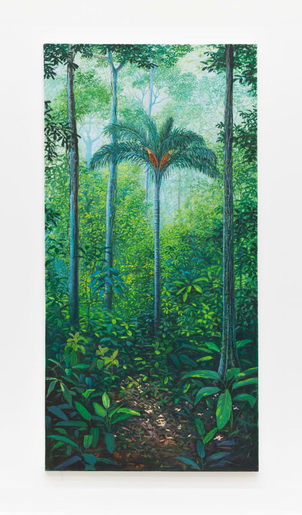 Miguel Penha Chiquitano, Palmeira tucun, 2025