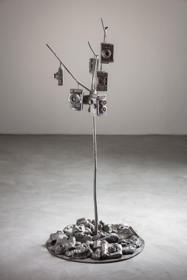 Ecologia Fotográfica