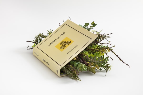 Camille Kachani Sem título, 2019 técnica mista 18 x 34 x 38 cm