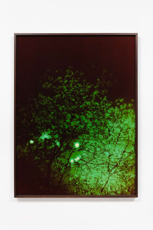 André Feliciano Vaga-lumes fotográficos 10, 2020 Photogram on color photographic paper 100 x 75 cm Série: Prospect park