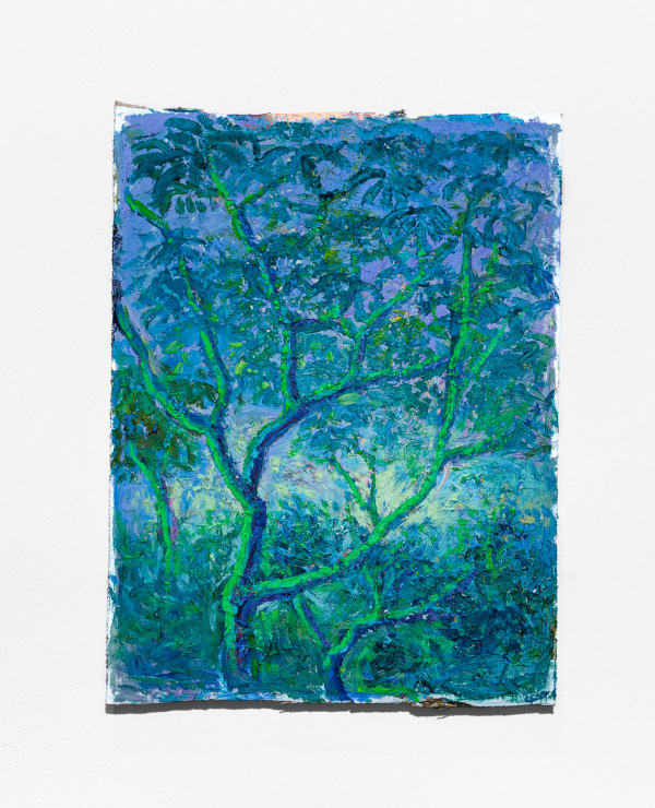 Miguel Penha Chiquitano, Cerrado 2, 2025