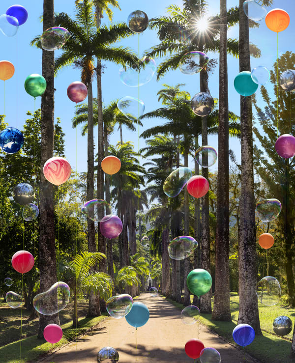 Flávia Junqueira, Jardim Botânico do Rio de Janeiro #5, 1808, 2021