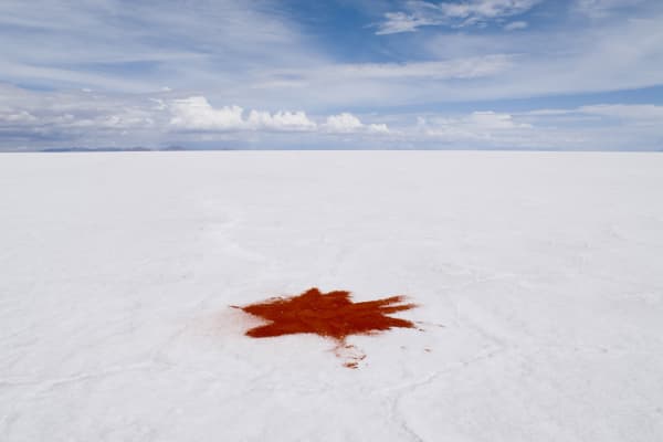 João Castilho, Tempero [Spice], 2009