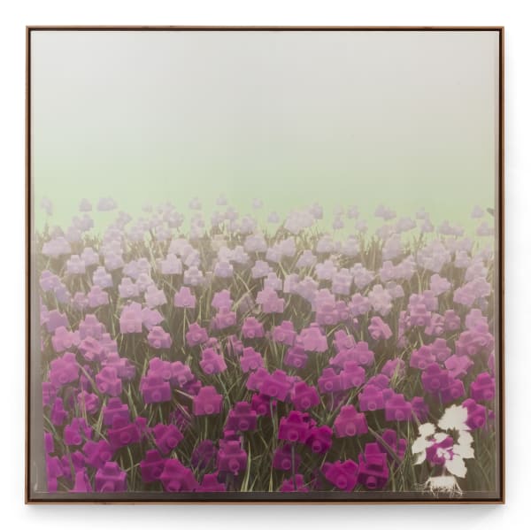 André Feliciano, Flores para Vilém Flusser 1 , 2023