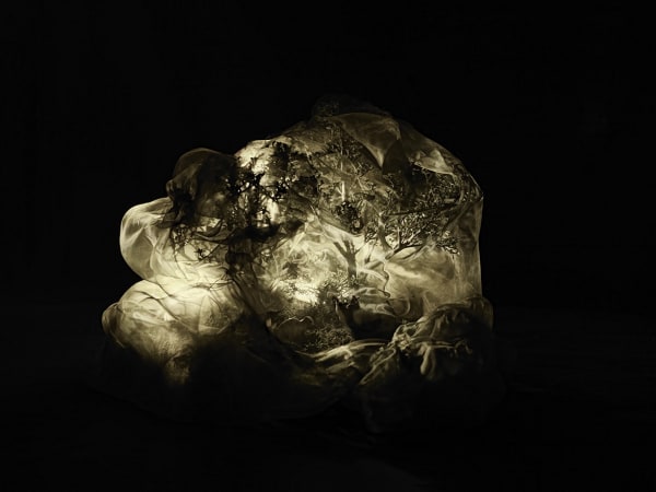 Adriana Duque, Espectro I, 2022