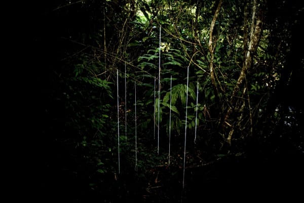 João Castilho, Untitled, 2008