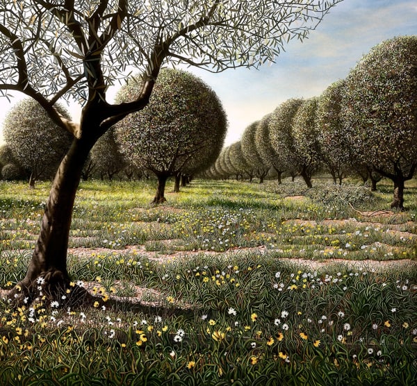 Marcelo Tinoco, Olive, 2017