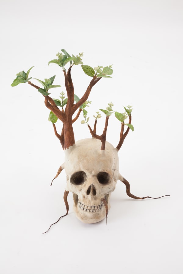 Camille Kachani, Untitled, 2015