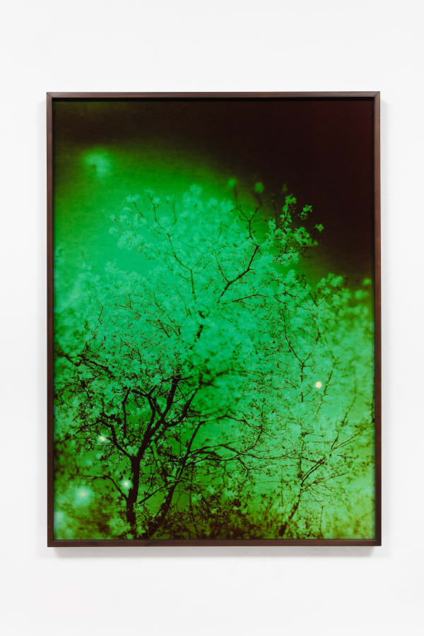 André Feliciano Vaga-lumes fotográficos, 2020 Fotograma em papel fotográfico colorido 100 x 75 cm Série: Prospect park