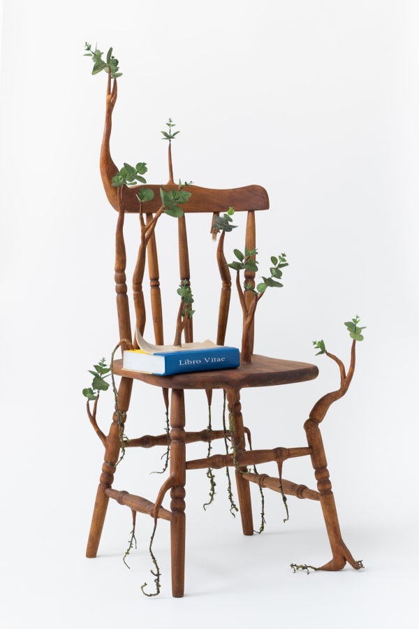 Camille Kachani, Cadeira com livro, 2022