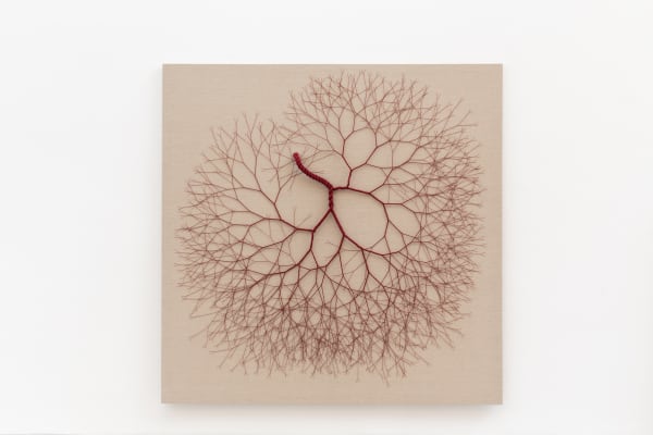Janaina Mello Landini, Ciclotrama 176 (aglomeração) [Ciclotrama 176 (cluster)], 2020