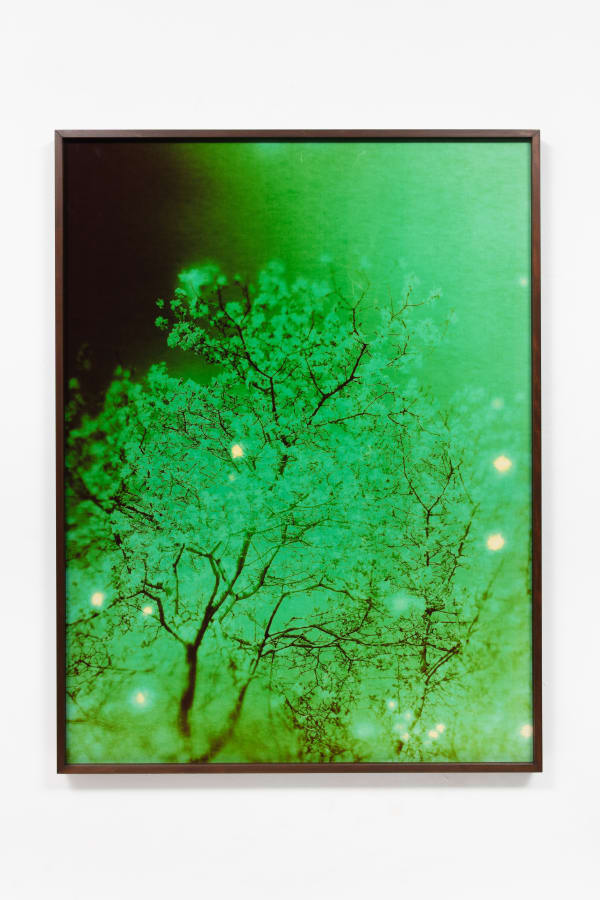 André Feliciano Vaga-lumes fotográficos 7, 2020 Fotograma em papel fotográfico colorido 100 x 75 cm Série: Prospect park