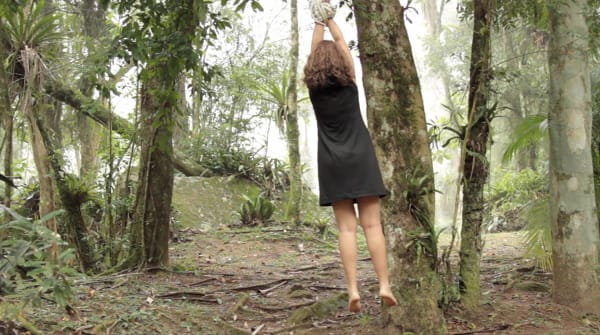 Katia Maciel Vulto, 2013 vídeo em loop 1' edição: 5