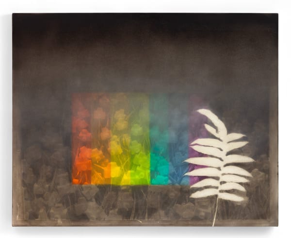 André Feliciano, Flores para Vilém Flusser 4, 2024