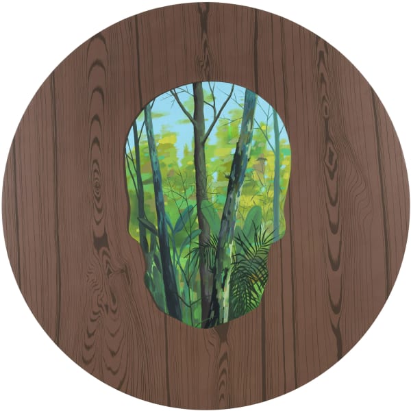 James Kudo, Caveira [Skull], 2011