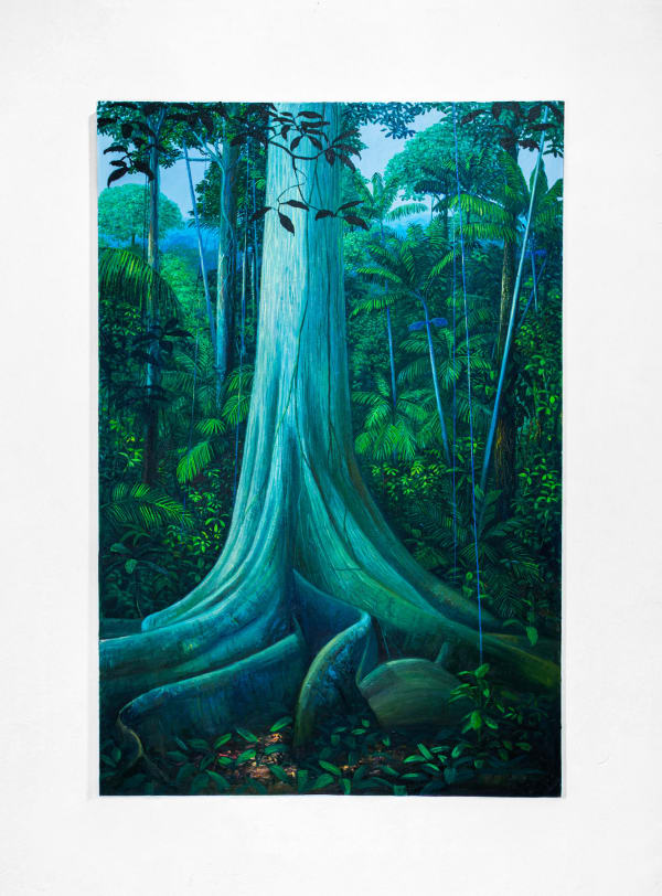 Miguel Penha Chiquitano, Samaúma e Apuí, 2025