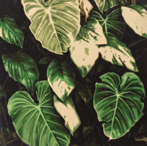 Fábio Baroli Untitled, 2019 oil on canvas 60,5 x 60,5 cm Series: SELVA-MATA [JUNGLE-WOODS]