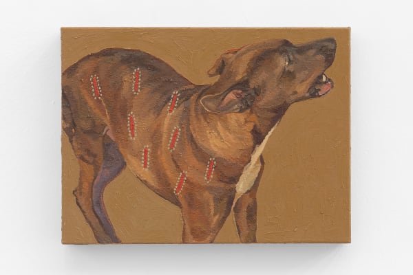 Ian Salamente Cão para Eudócio, 2025 Óleo sobre tela 30 x 40 cm