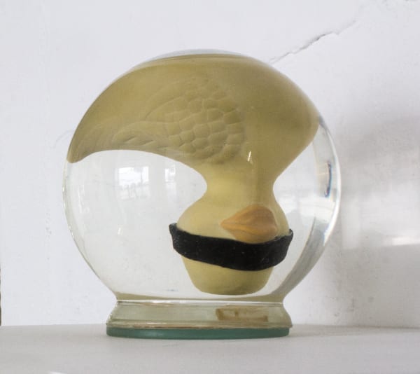 Monica Piloni, Oposição, 2016