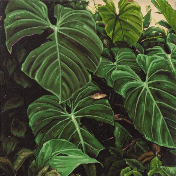 Fábio Baroli Untitled, 2019 oil on canvas 60,5 x 60,5 cm Series: SELVA-MATA [JUNGLE-WOODS]