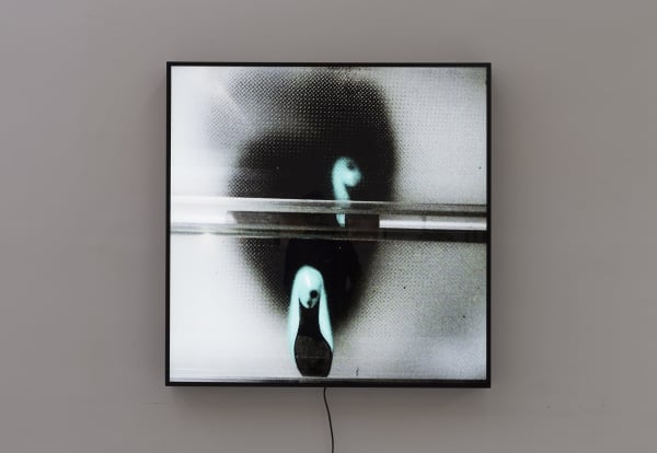 Graciela Sacco, Migrantes, 2010