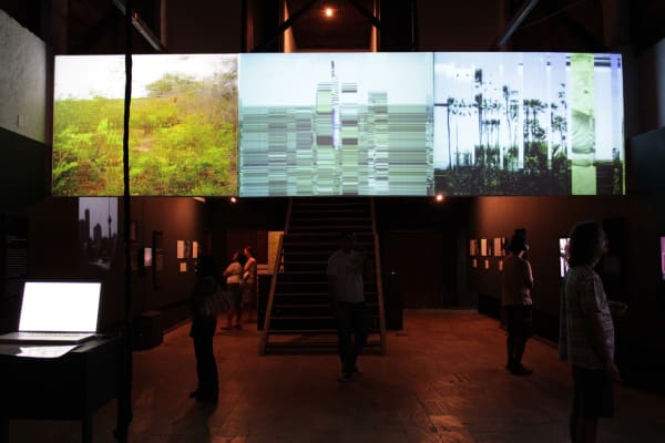 Fernando Velázquez, Descontinua Paisagem, 2008