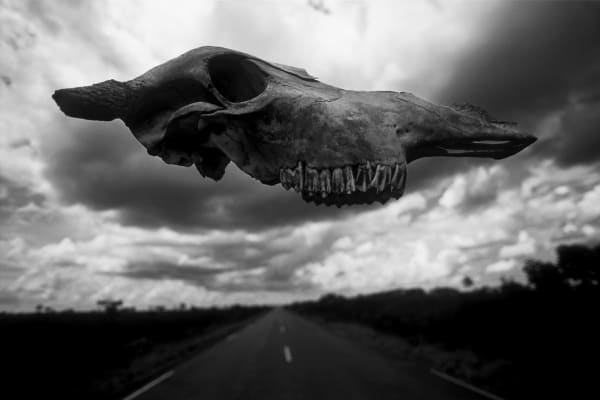 João Castilho Vade retro, 2012/2013 mineral pigment on cotton paper 70 x 105 cm edition: 5