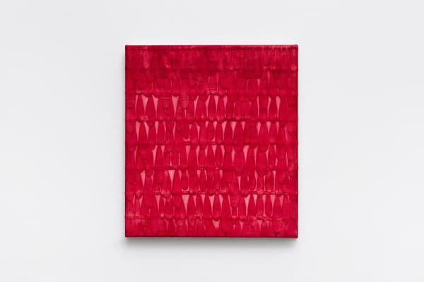 Célio Braga, Cortina de sangue, 2025