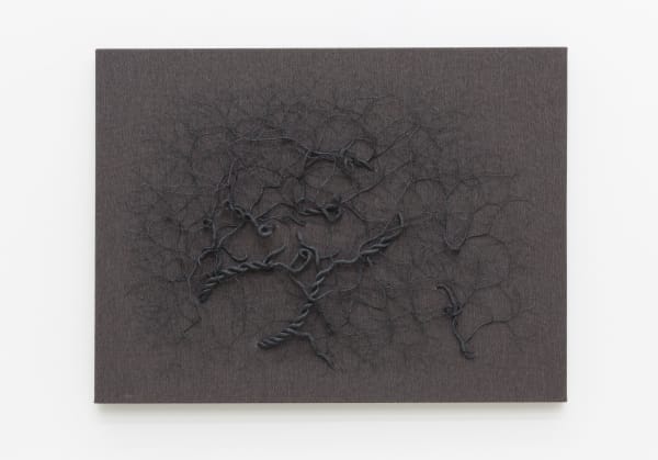 Janaina Mello Landini, Ciclotrama 97 (Descentralização), 2017