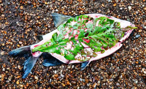 Rodrigo Braga na mostra “Brasil das Múltiplas Faces”, inauguração do Espaço Milú Villela, Exposição de longa duração no Itaú Cultural...