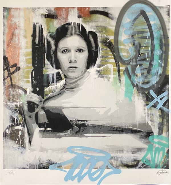 Princess Leia Embellished Print