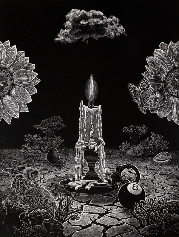 Ade Adesina - Contradictions