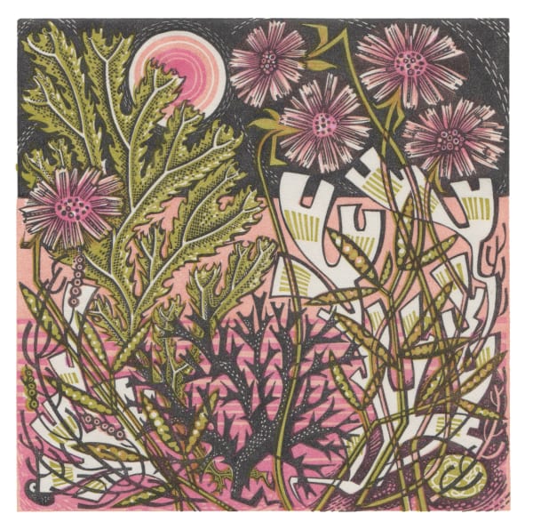 Angie Lewin, Sea Pinks