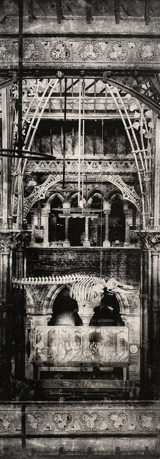 Lindsey Moran tonal black and white print of the architecture of the natural history museum, Oxford, featuring a dinosaur skeleton.