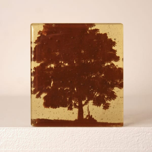 Helen Slater glass standalone sculpture with a sepia drawing of an ash tree cast in light Amber Glass