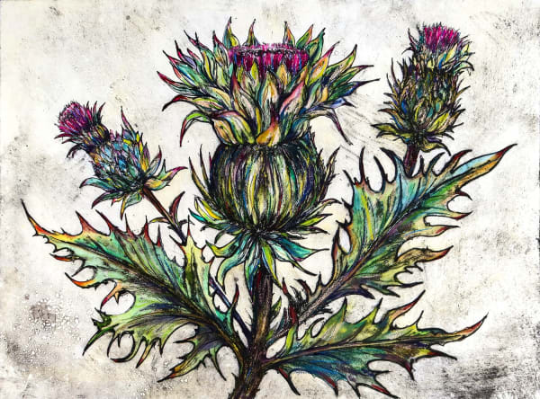 Vicky Oldfield collagraph print of three blooming thistle heads