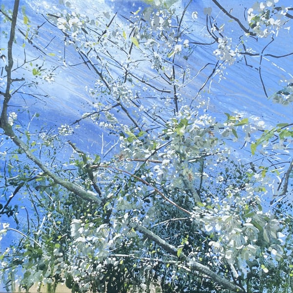 James Fotheringhame oil on linen painting in a hyperrealist style of honeybees flying around cherry blossom branches with a blue sky