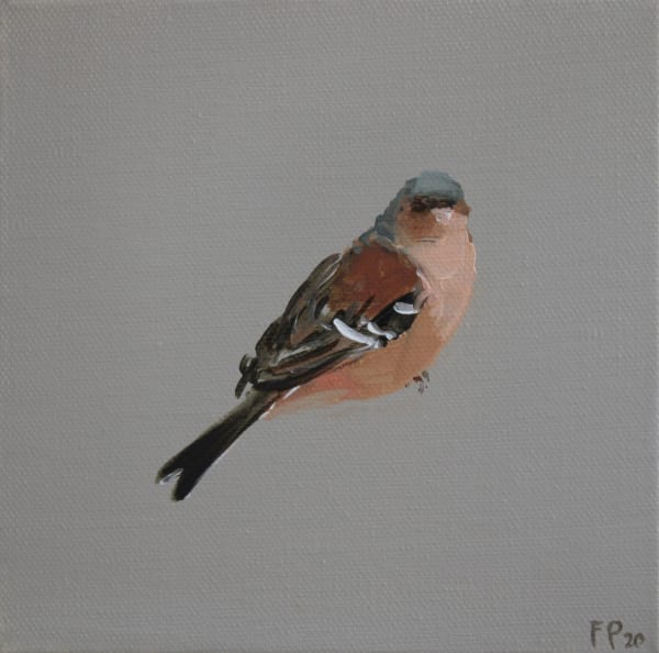 Fletcher Prentice oil painting on canvas of a Chaffinch against a dusky grey background.