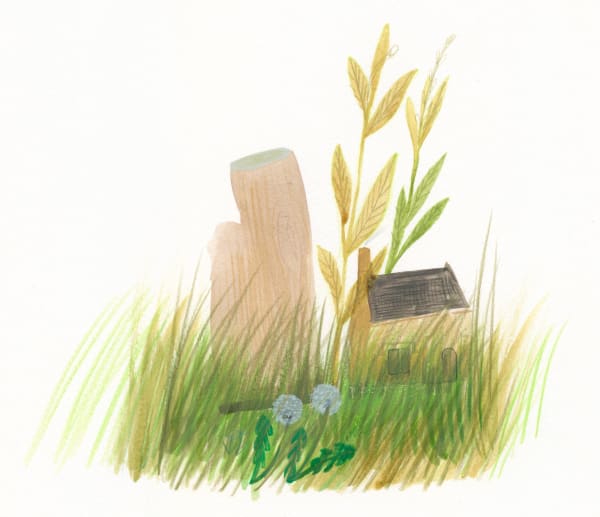 Sarah Lacey pencil and ink piece, showing a little house next to a larger tree stump, surrounded by lengths of green grass and dandelions.