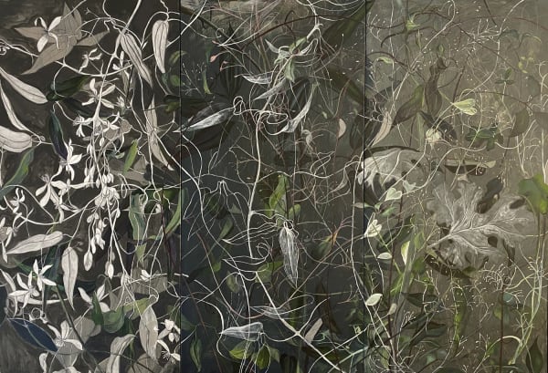 Rowena Mayell, Tangled