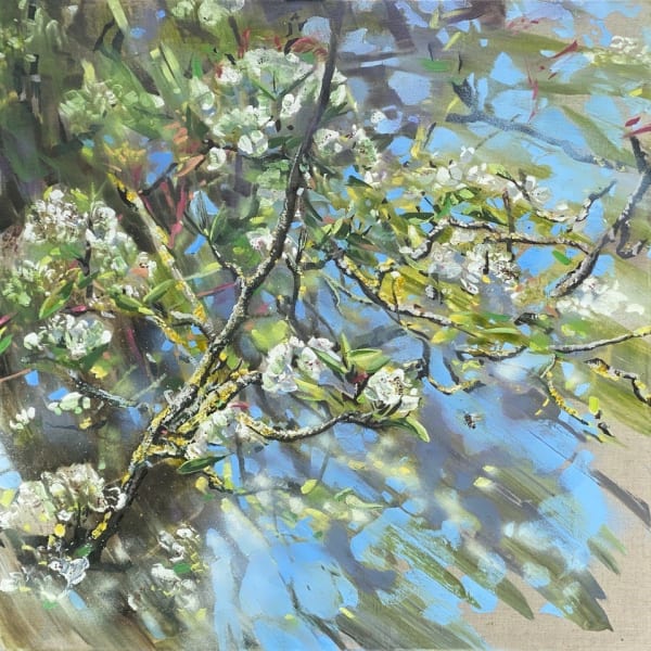 James Fotheringhame oil painting piece, showing a honeybees flying amongst pear blossom branches with bright white blossom petals surrounding them against a luscious blue sky.