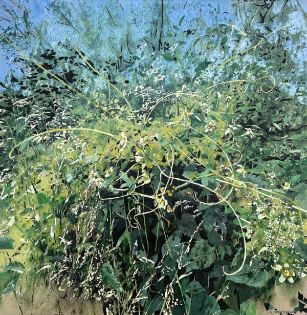 James Fotheringhame oil on linen painting in a hyperrealist style of honeybees flying around a bush of white bryony with a blue sky