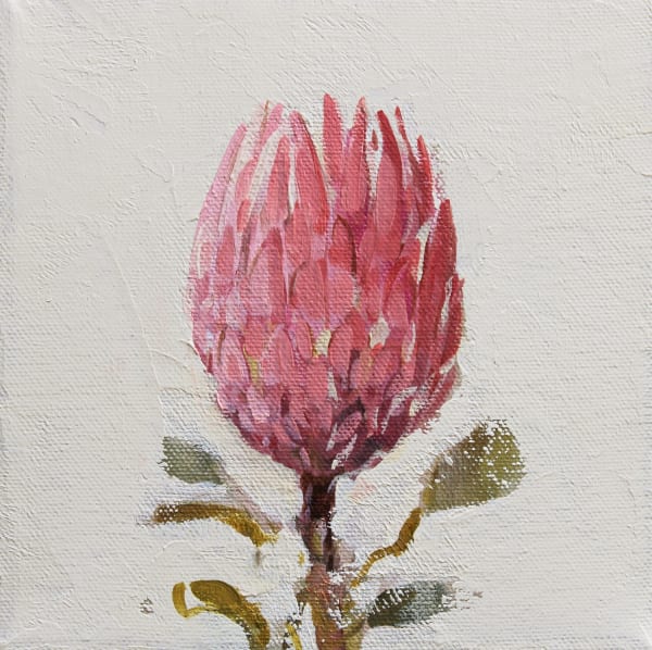 Fletcher Prentice painting of a pink protea flower on a light beige background