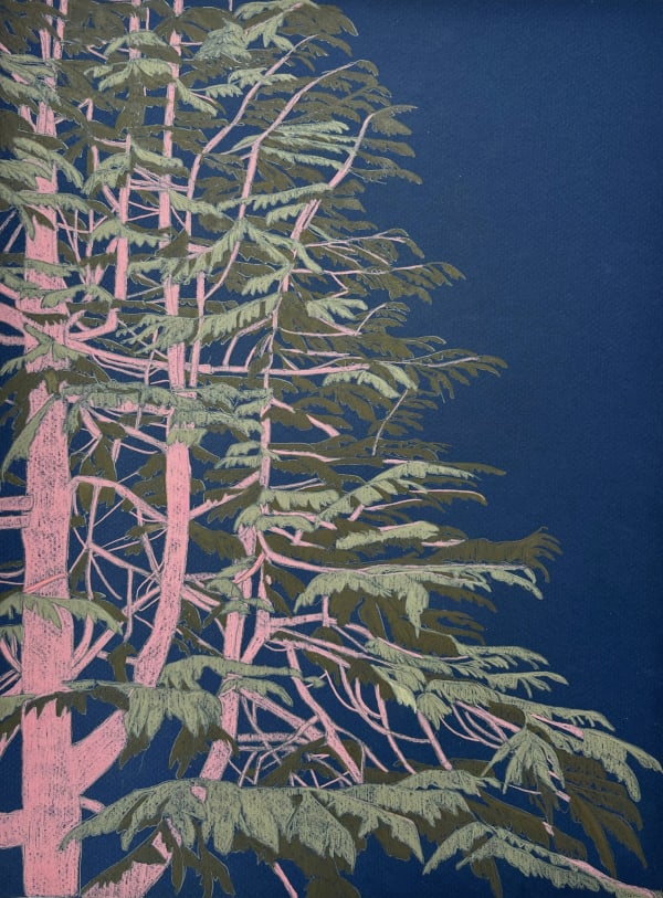 Clare Halifax pencil drawing of a treetop with a pink trunk, with green leaves against a navy blue night sky