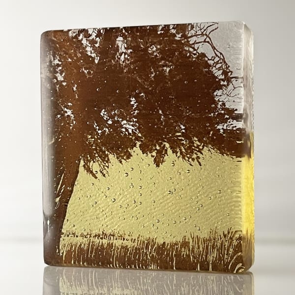 Helen Slater glass sculpture with sepia drawing of an oak tree in amber and opaline glass