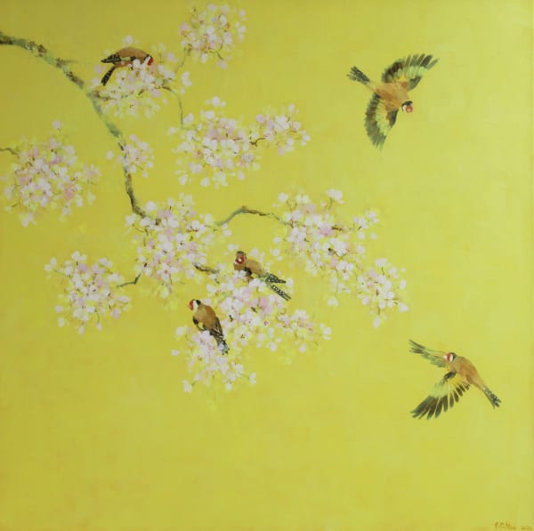 Fletcher Prentice oil painting on canvas of 5 Goldfinches with a branch of Cherry Blossom against a bright yellow background.